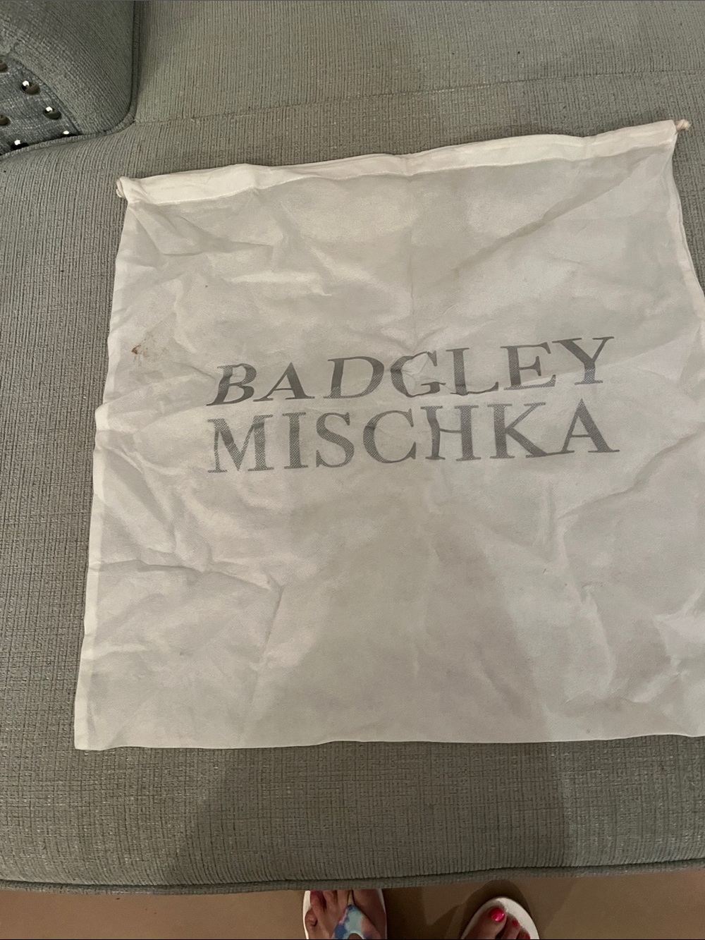 Badgley Mischka White Drawstring Dust Bag with Gray Logo large